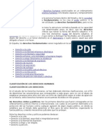 Derechos Fundamentales1.doc