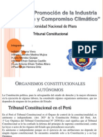 Tribunal Constitucional