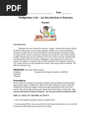 Toothpickase Lab Activity Pdf Active Site Substrate Chemistry