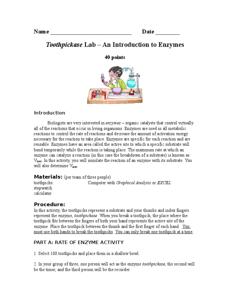 Toothpickase Lab Activity Pdf Active Site Substrate Chemistry