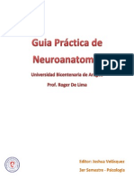 Guia Práctica de Neuroanatomia Nº1.pdf