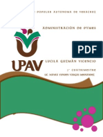 Las Pymes PDF