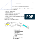 Taxonomia Postlarvas Camaron PDF