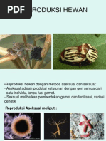 Download reproduksi hewanppt by izkaremie SN244072165 doc pdf