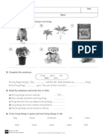 Reinforcement Worksheets 3 PDF