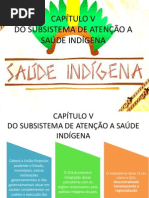 CAPÍTULO V lei 8080.ppt