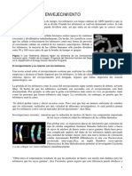 Apuntes_envejecimiento_19-9-09[1].pdf