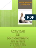 Presentacion Modicabilidad Cognitiva