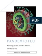 Pandemic Flu v1 1