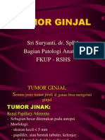 Tumor Ginjal