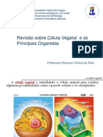 Aula II - Revisão Sobre Célula Vegetal e As Principais Organelas PDF