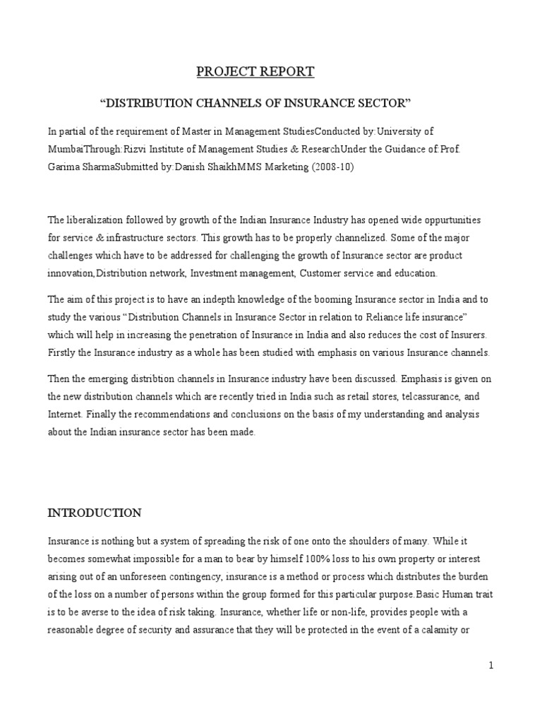 Project Report On Insurance | PDF | Insurance | Life Insurance