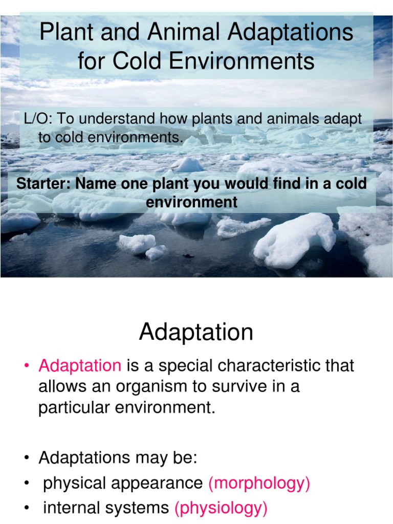 Plant Adaptations To Cold Environments