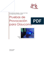 225849837-pruebas-de-provocacion-docx.docx