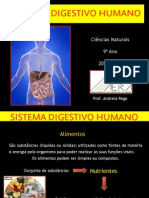 Sistema Digestivo.pptx