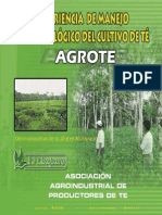 Te Verde PDF