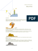 162153116 Micul Print Carte PDF