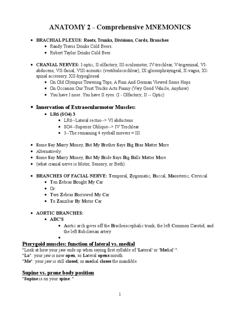 Anatomy Mnemonics for Cranial Nerves | PDF | Skeletal System | Human ...
