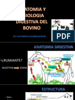 VACUNOS metabolismo.pptx