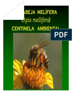 Monitoreo Ambiental PDF