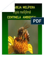 Abejas centinelas ambientales