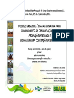 App_Embrapa_Açúcar.pdf