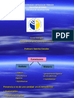 Estructura y Conceptos PDF