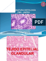 Tejido Epitelial Glandular PDF