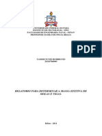 Relatorio de Vibraçoes Mecanicas massa efetiva - UFPA.pdf