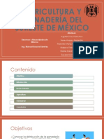 Agricultura y ganadería del sureste de México.pptx