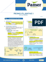 Bio_Sem_10_Reino Plantae.pdf