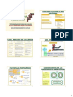 Cap 4.- Biomoleculas Orgánicas-1.pdf