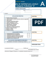 ProfesionalA Final PDF