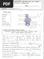 Teste André 3º Ano - 1º Período - ESTUDO DO MEIO
