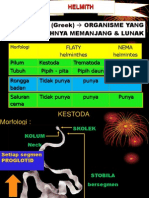 kestoda2013-2014