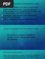 Can Photosynthesis Take Place With Artificial Light