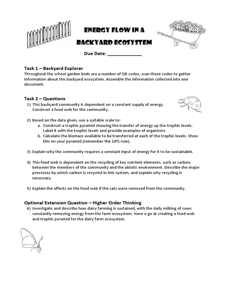 Energy Flow In A Backyard Ecosystem Food Web Ecosystem