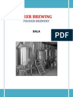 Beer Brewing Process