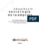 Sociologia de La Empresa PDF