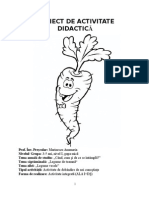 Proiect de Activitate Didactică