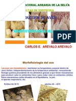 AVES 2010.ppt