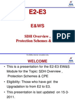 Chapter02.SDH Overview Protection Schemes & CPE