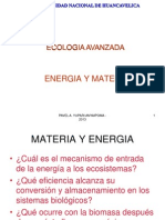 3_ Clase ENERGIA C BIOGEOQUIMICO.ppt
