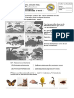 5 Prova de Ciencias PDF
