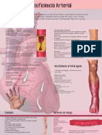 Insuficiencia Arterial PDF