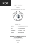 Download Laporan Botani Morfologi Dan Modifikasi Daun by Nadya Erlianie SN244305712 doc pdf