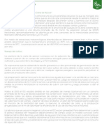 proceso_produccion.pdf