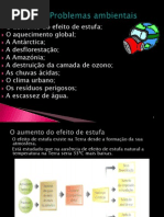 grandesproblemasambientais.pptx