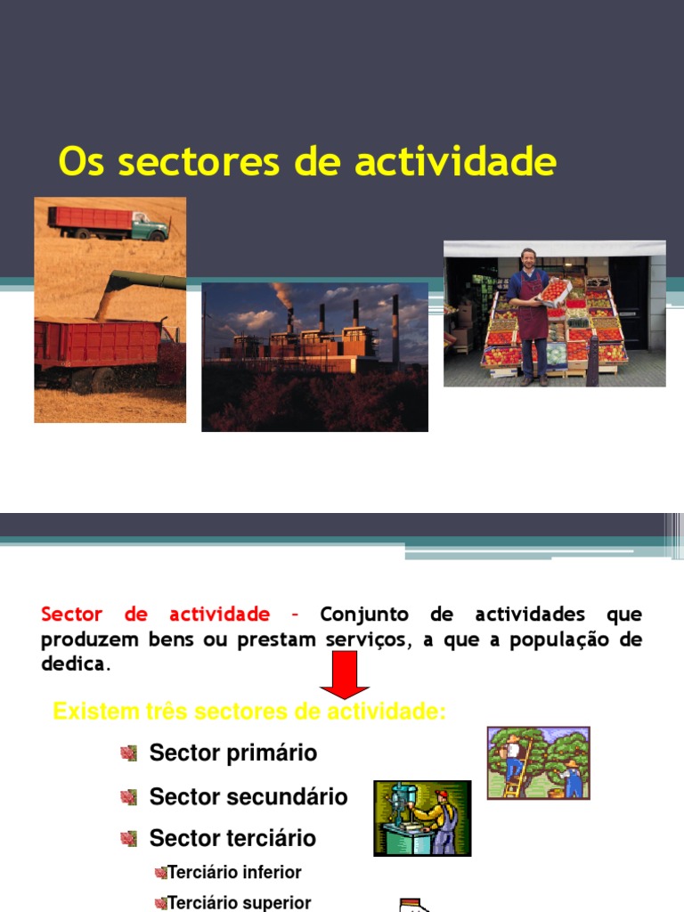 Classificação dos Setores de Atividade | PDF | Setor terciário da ...