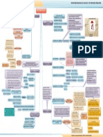 Curriculum-Mapa Conceptual PDF
